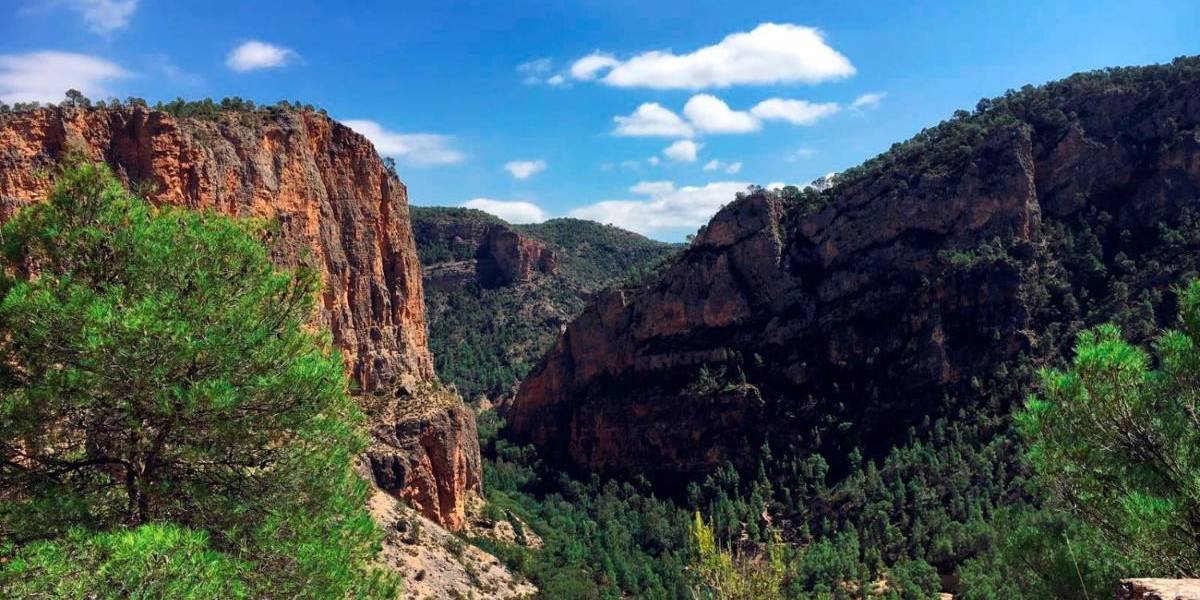 134991898_ExtraGrande