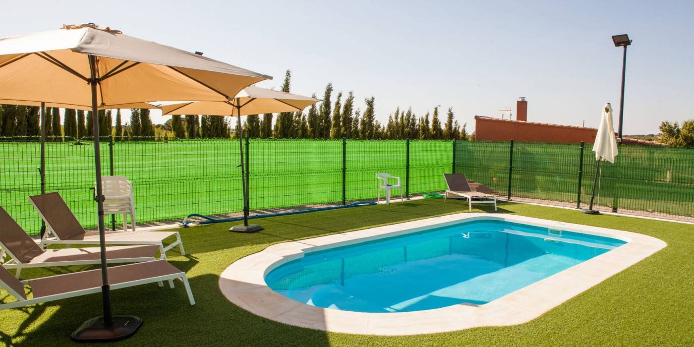 1558087799resized__MG_6636_ExtraGrande