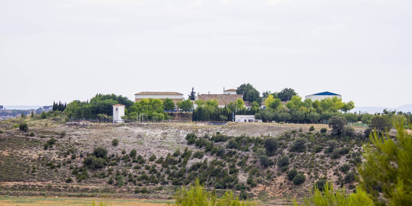 1558088019Perspectiva_ExtraGrande