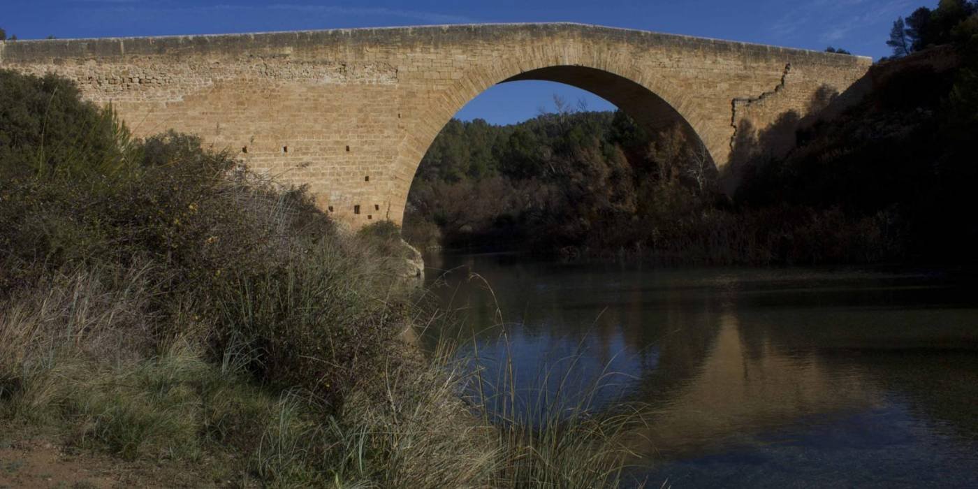 9854471Master_ExtraGrande