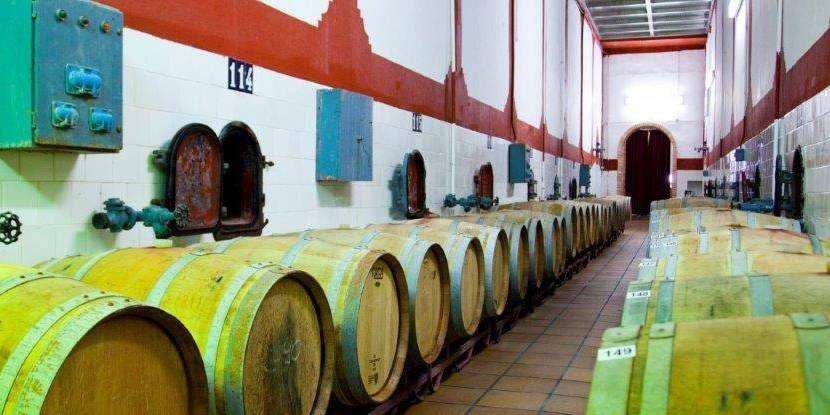 IMG_0002_ExtraGrande