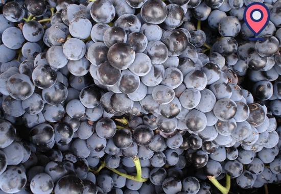 Paisaje natural y patrimonio histórico de La Manchuela para actividades de turismo activo