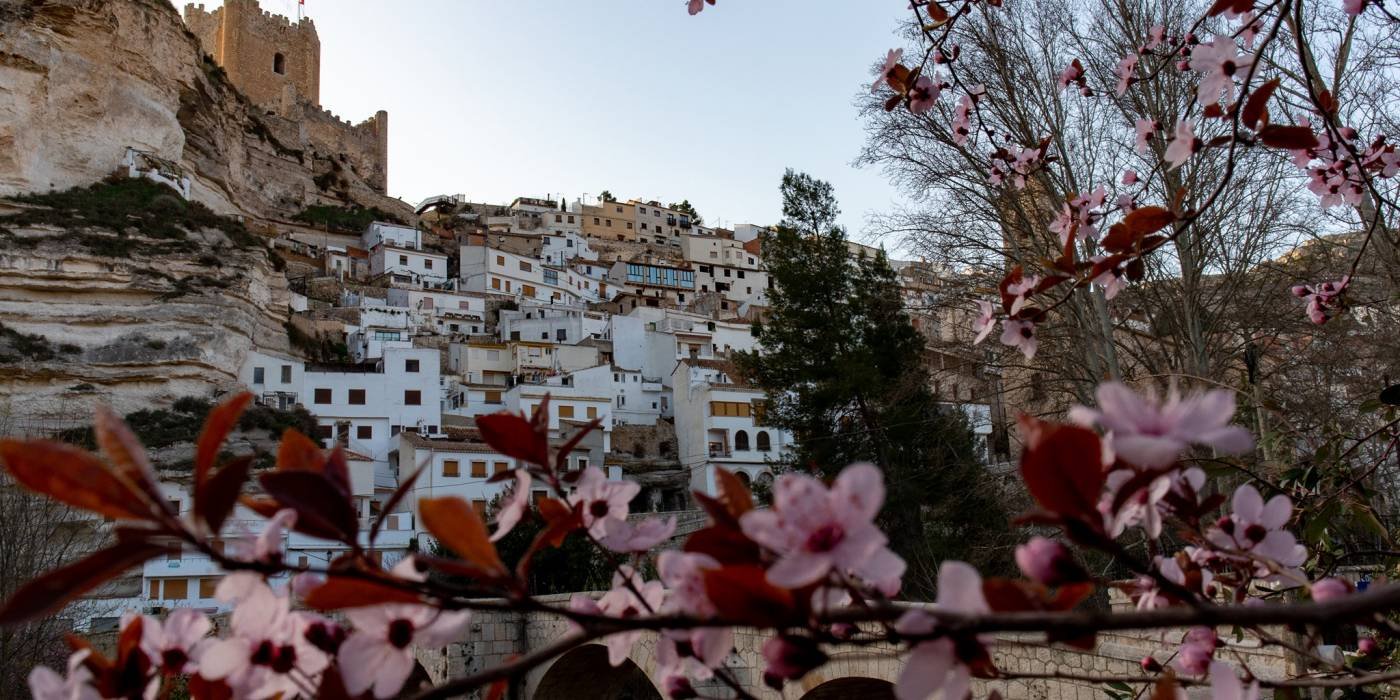 defacebookdeElJuez_ExtraGrande