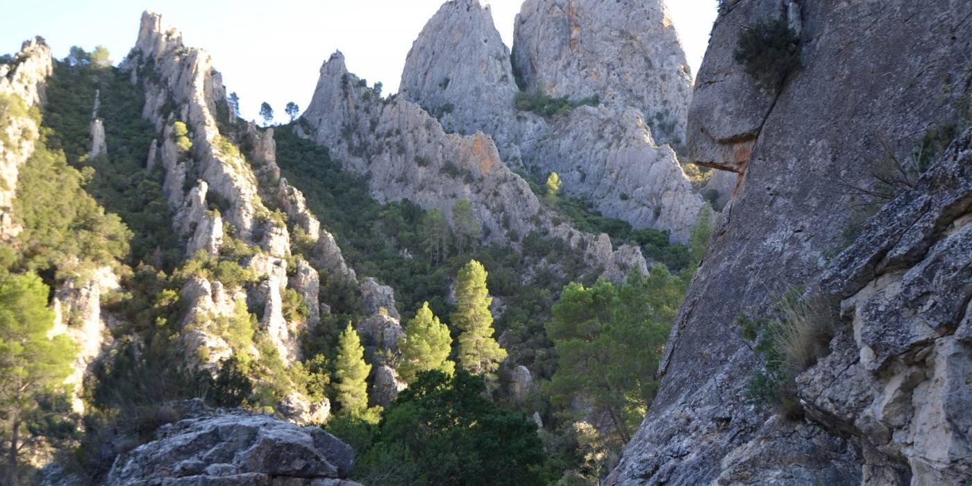 jugando-con-la-luzhOCES_ExtraGrande