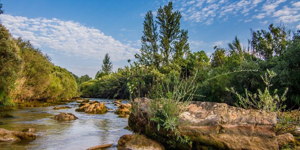 vadocanas_ExtraGrande