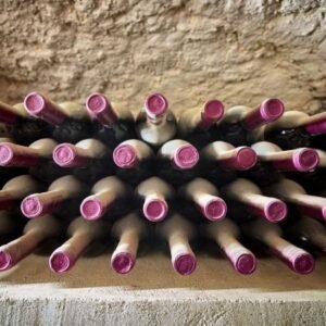 Visita a bodega con cata de vinos y degustación de queso manchego