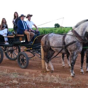 Paseo en viñedo con carro de caballos + degustación