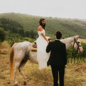 Paseo en viñedo con carro de caballos + degustación
